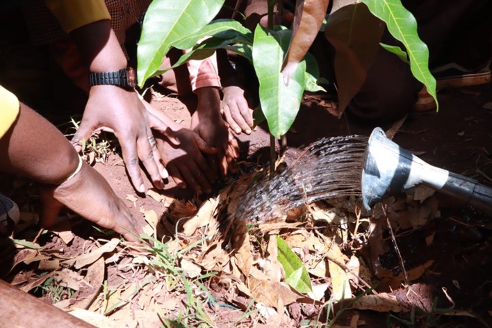 Environment & Agriculture